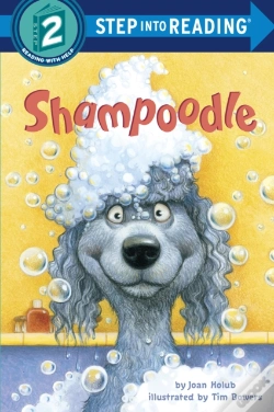 Capa do artigo Shampoodle
