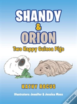 Capa do artigo Shandy & Orion