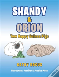 Capa do artigo Shandy & Orion
