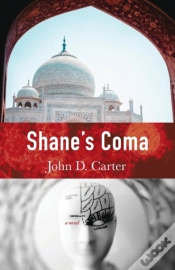 Capa do artigo Shane