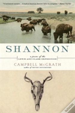 Capa do artigo Shannon