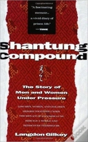 Capa do artigo Shantung Compound