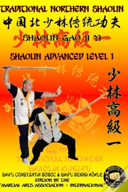 Capa do artigo Shaolin Advanced Level 1