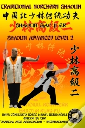 Capa do artigo Shaolin Advanced Level 2
