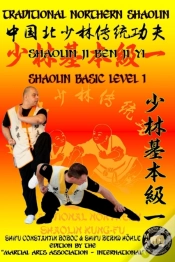 Capa do artigo Shaolin Basic Level 1