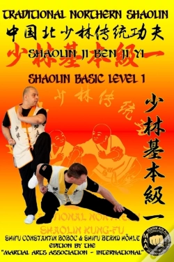 Capa do artigo Shaolin Basic Level 1