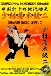 Capa do artigo Shaolin Basic Level 2