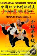 Shaolin Basic Level 3