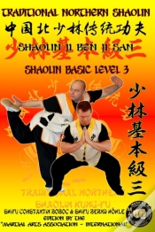 Capa do artigo Shaolin Basic Level 3