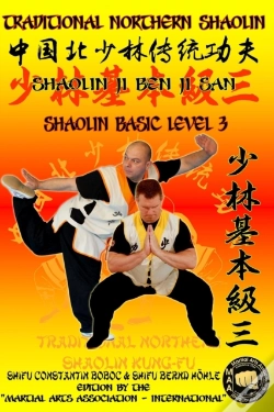 Capa do artigo Shaolin Basic Level 3
