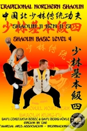 Capa do artigo Shaolin Basic Level 4