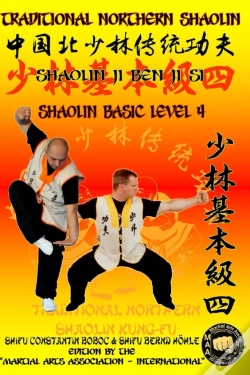 Capa do artigo Shaolin Basic Level 4