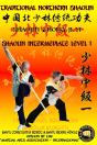 Shaolin Intermediate Level 1 - Preview