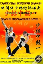 Capa do artigo Shaolin Intermediate Level 1