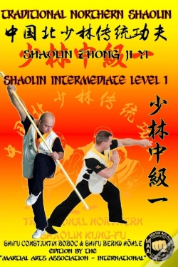 Capa do artigo Shaolin Intermediate Level 1