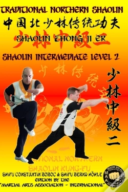 Capa do artigo Shaolin Intermediate Level 2