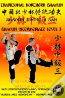 Shaolin Intermediate Level 3