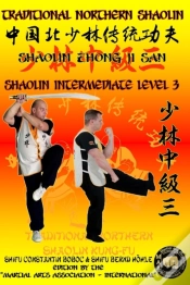 Capa do artigo Shaolin Intermediate Level 3