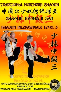 Capa do artigo Shaolin Intermediate Level 3