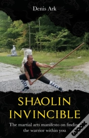 Capa do artigo Shaolin Invincible