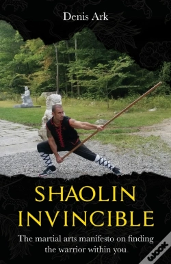 Capa do artigo Shaolin Invincible