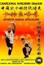 Shaolin Wu Bu Quan - Advanced Martial Applications - Preview