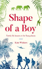 Capa do artigo Shape Of A Boy