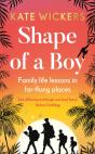 Shape Of A Boy - Preview
