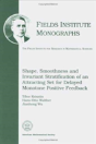 Shape, Smoothness And Invariant Stratification Of An Attracting Set For Delayed Monotone Positive Feedback - Preview