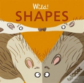 Shapes