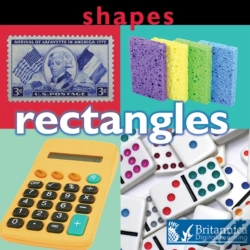 Capa do artigo Shapes