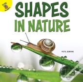 Shapes In Nature