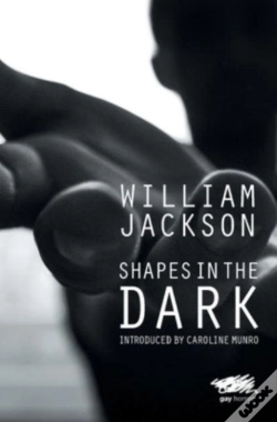Capa do artigo Shapes In The Dark
