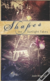 Capa do artigo Shapes The Sunlight Takes