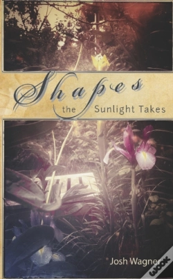 Capa do artigo Shapes The Sunlight Takes