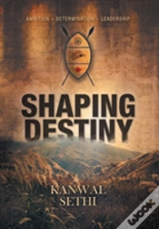 Capa do artigo Shaping Destiny