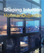 Shaping Intuition - Preview