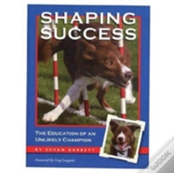 Capa do artigo Shaping Success
