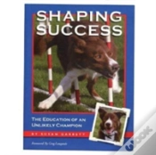 Capa do artigo Shaping Success