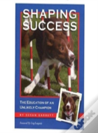 Shaping Success