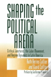 Shaping The Political Arena