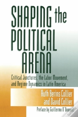 Capa do artigo Shaping The Political Arena