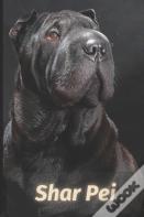 Shar Pei