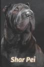 Shar Pei - Preview