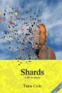 Shards A Life In Pieces - Preview