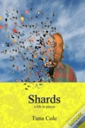 Capa do artigo Shards A Life In Pieces