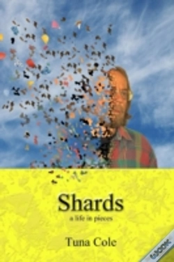 Capa do artigo Shards A Life In Pieces