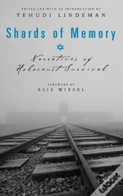 Capa do artigo Shards Of Memory