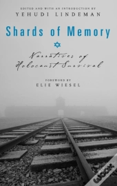Shards Of Memory