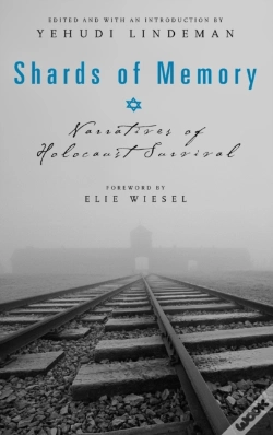 Capa do artigo Shards Of Memory